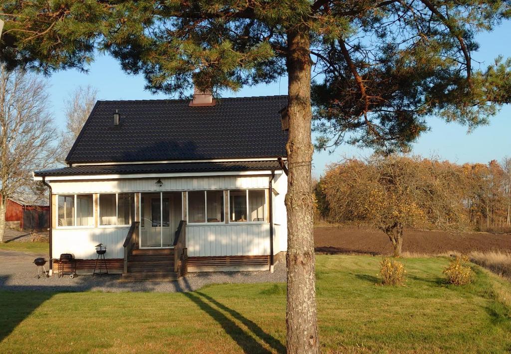 特罗尔海坦Charmy house with the nature just around the corner的白色的房子,有黑色的屋顶和一棵树