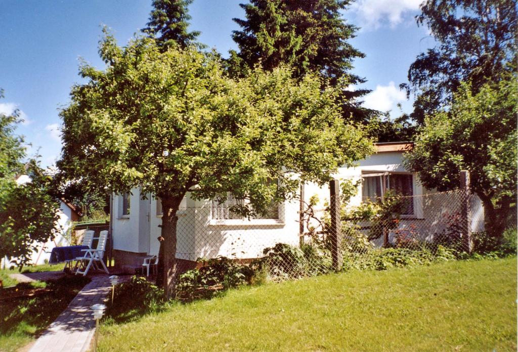 滨湖克拉科Ferienhaus Krakow am See SEE 4001的院子中一棵树的小白色房子