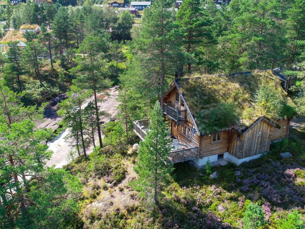ØyuvstadHoliday Home Knutebu - SOW093 by Interhome的屋顶草顶房屋的顶部景色