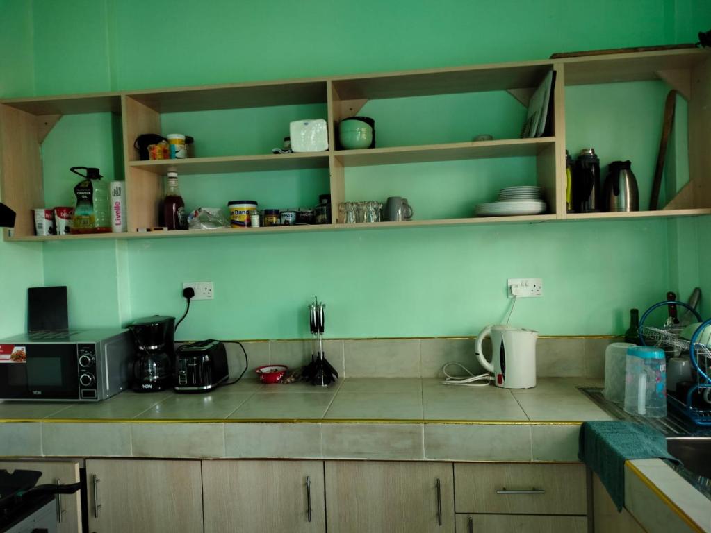 ThikaBloom private home的厨房设有绿色的墙壁和台面