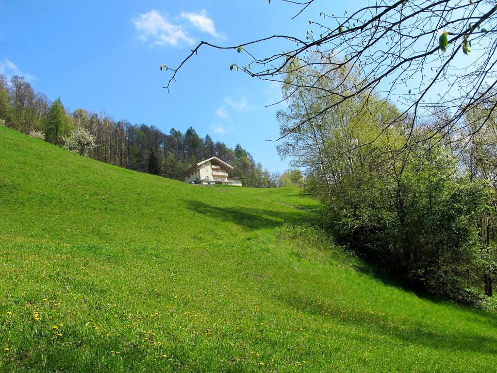 LendApartment Achtalgut-1 by Interhome的一座草木茂密的山丘,上面有一座房子