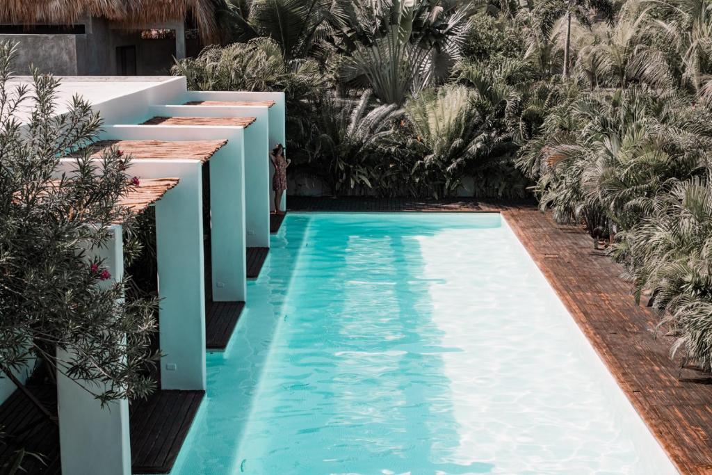 El Paredón Buena VistaSwell的棕榈树度假村内的游泳池