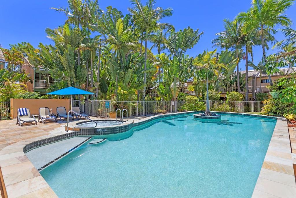 努萨维尔Noosa Village River Resort的棕榈树庭院内的游泳池