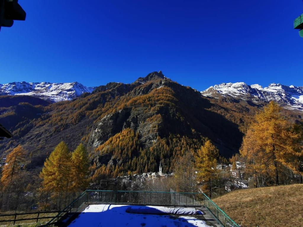 瓦托内切Settimana Cervinia-Valtournenche的享有树木和雪的山景