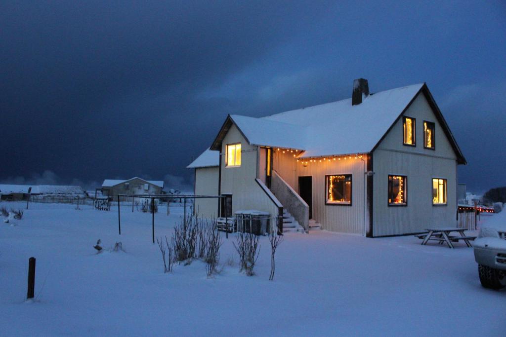 海拉Guesthouse Hateigi 2的夜晚在雪中点燃的房子