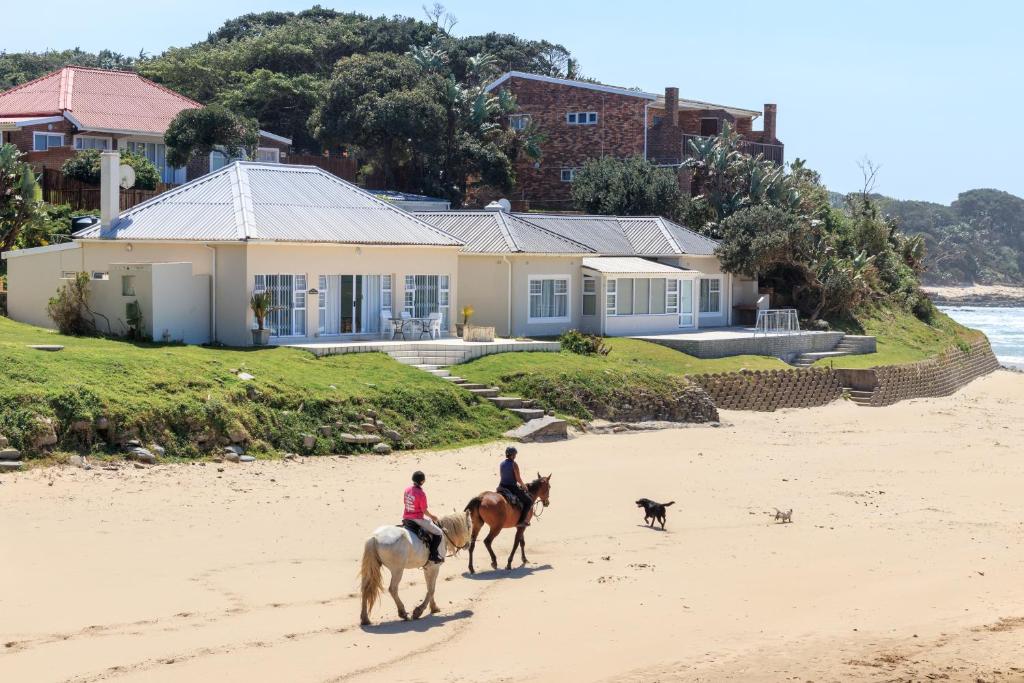 Kei MouthClifton Cottage的两人在海滩上与狗一起骑马