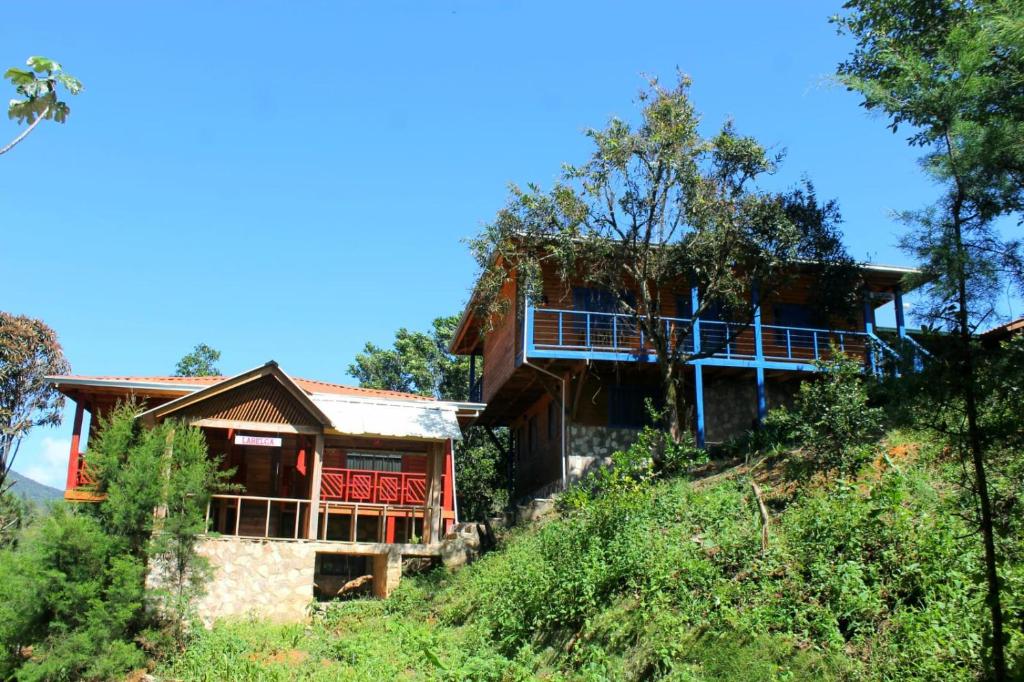 孔斯坦萨Estancias Arroyazo的山边树木的房子