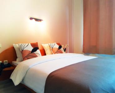 迪德朗日Hôtel La Charbonnade的一间卧室配有带枕头的床