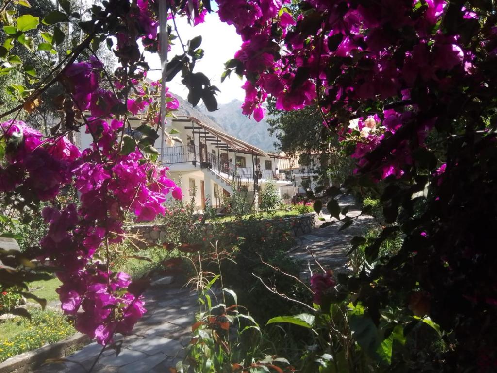乌鲁班巴Casa de Mama Valle - Urubamba的一座花园,在一座建筑前种有紫色花卉