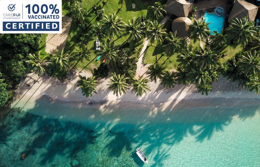 纳玛塔库拉Beachouse Resort的享有热带岛屿棕榈树的空中景致