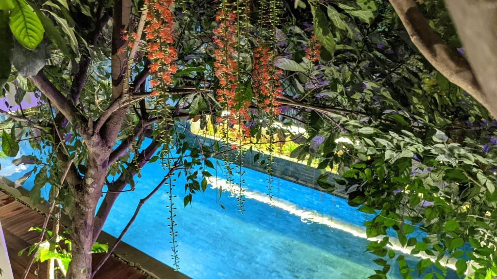 金边Sarina Hotel & Villa的挂在游泳池上的一棵花树