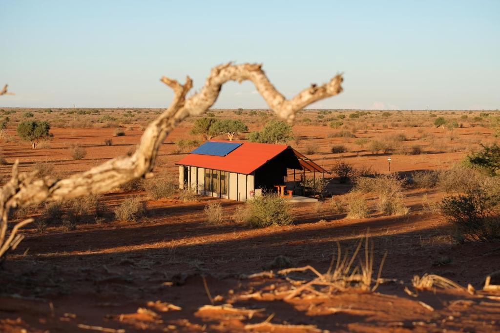 马林塔尔Kalahari Anib Camping2Go的沙漠中的小房子
