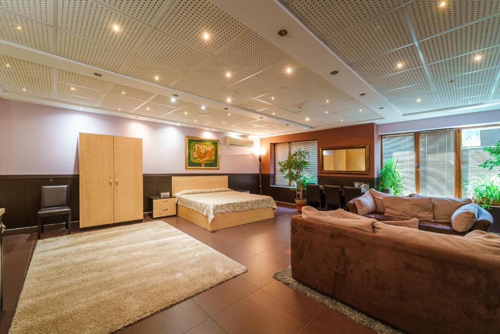 普罗夫迪夫伊格酒店的带沙发和床的大型客厅