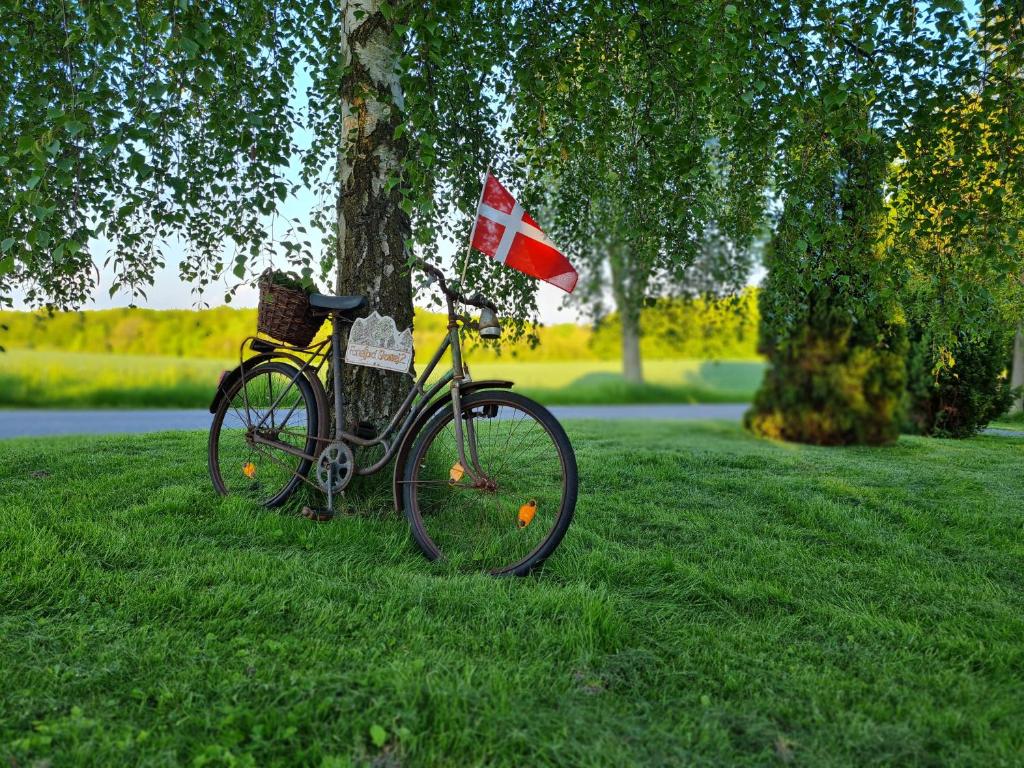AskebyB&B Bauernhofferien auf Møn的停在树旁的草地上的自行车