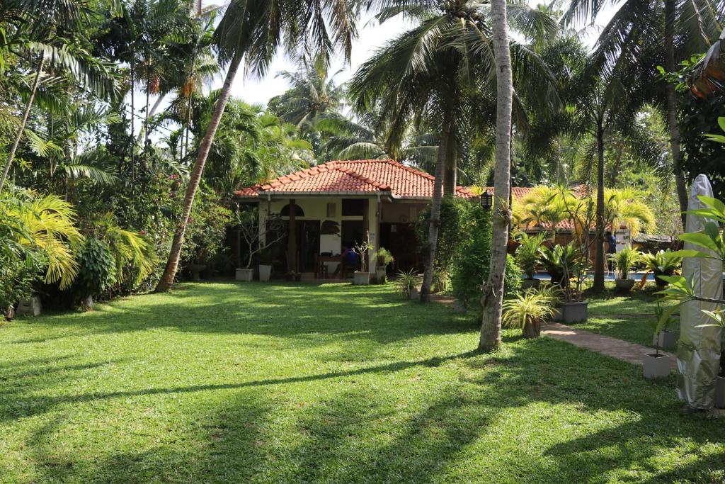 尼甘布帕帆拿酒店的庭院前有棕榈树的房子