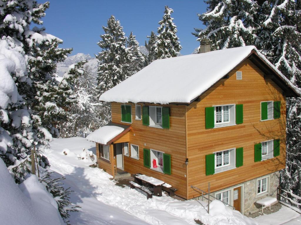 芙露姆赛山柴特古德公寓的雪中树下的小木屋