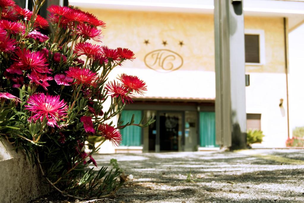 阿里恰加利福尼亚酒店的大楼前的一束红花