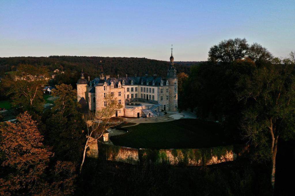MirwartLe Château de Mirwart的森林城堡的空中景观
