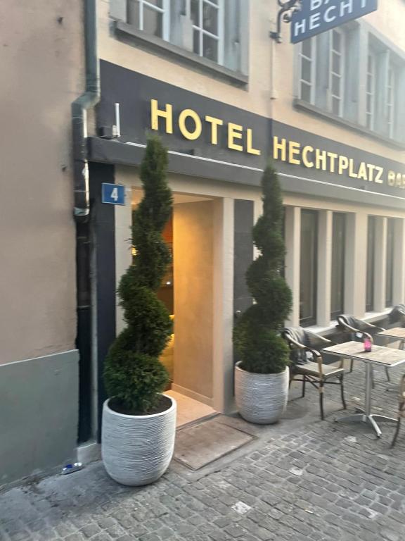 苏黎世Hechtplatz Hotel - Self Check-in的坐在酒店前的两棵盆栽树