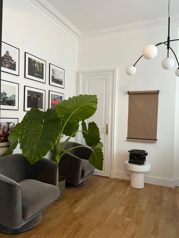 特鲁瓦La Maison de Reina的一间带椅子和植物的客厅