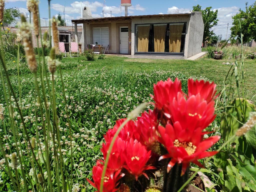 La ConsultaCabaña Hurú Zaha的房子前的红花