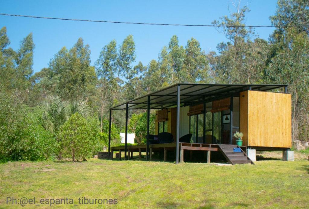 拉佩德雷拉Agua y Manto的田野上带有玻璃屋顶的房子