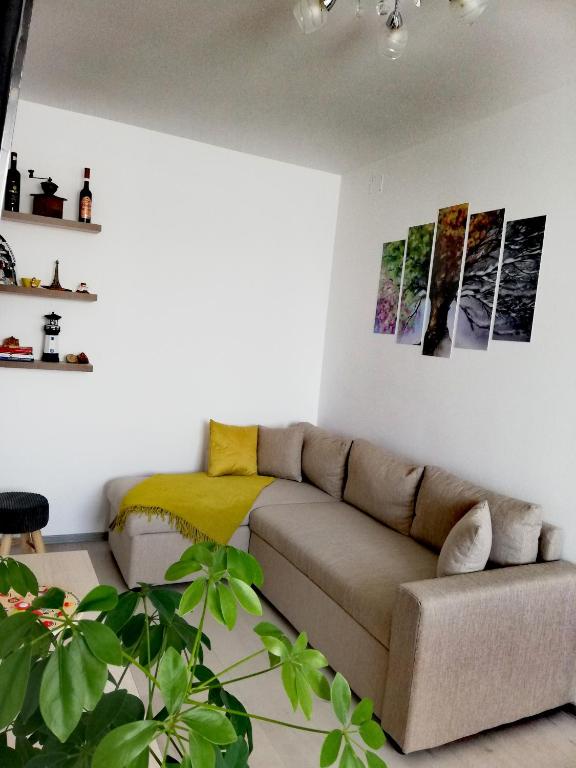 托普利察Apartament Raluca的带沙发和植物的客厅