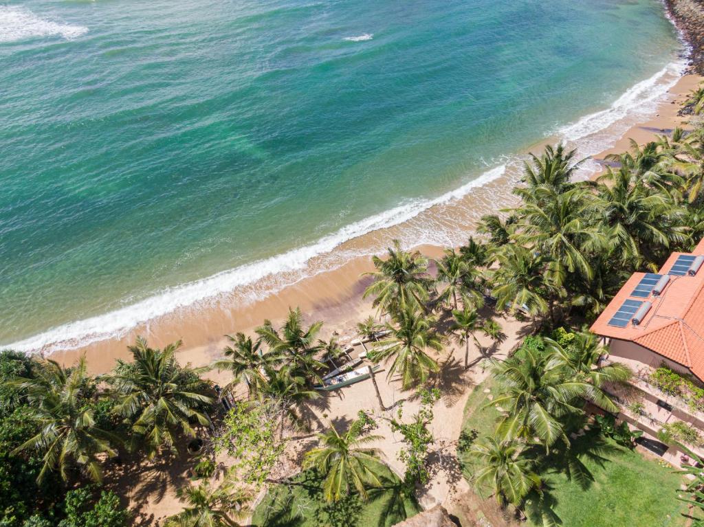 米瑞莎THE SLOW vegan hotel的享有棕榈树海滩和大海的上方景色