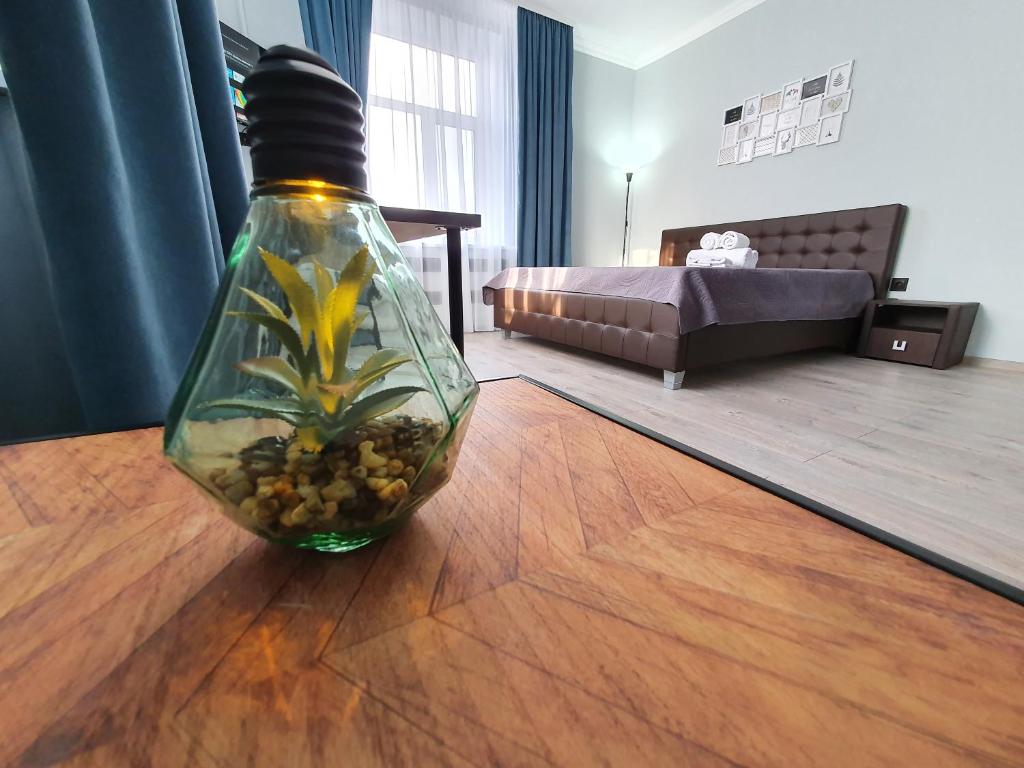 基希讷乌Park & Pedestrian zone apartment for4的玻璃瓶,上面有植物坐在桌子上