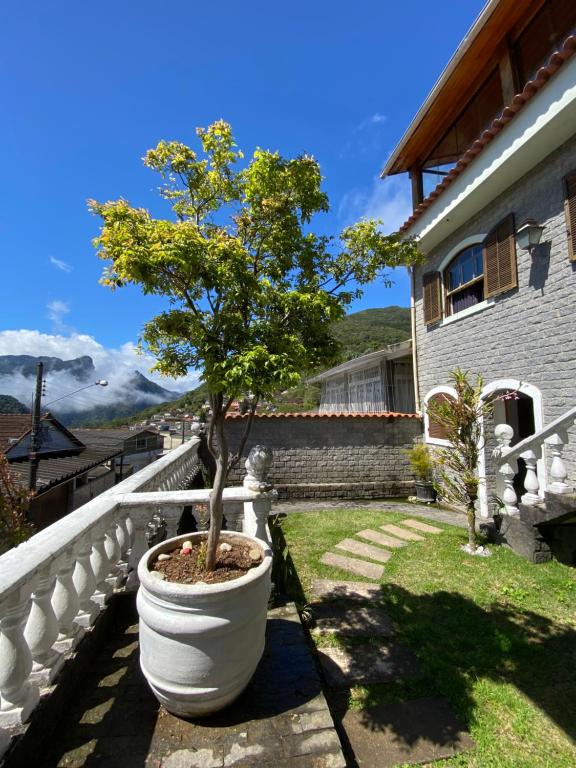 彼得罗波利斯Casa Petrópolis的阳台大白盆里的一棵树