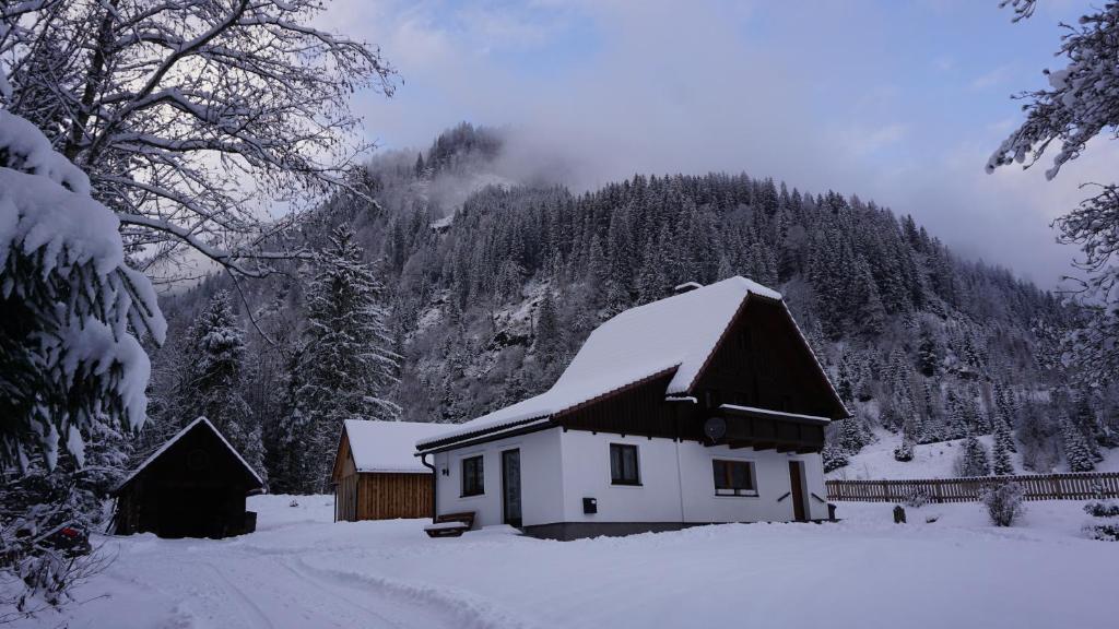 多内尔斯巴赫瓦尔德Haus Cilli的山前雪覆盖的房子