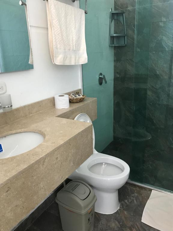 马里基塔Hotel Boutique San Rafael的浴室配有卫生间、盥洗盆和淋浴。