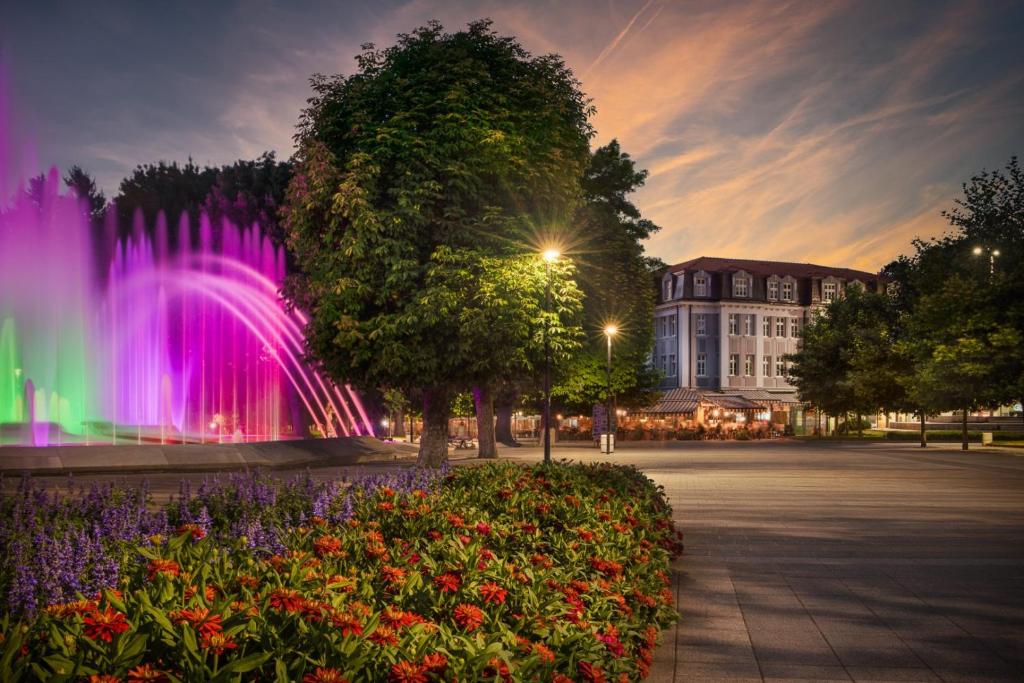 普列文Hotel Splendid的公园里喷泉,有建筑和鲜花