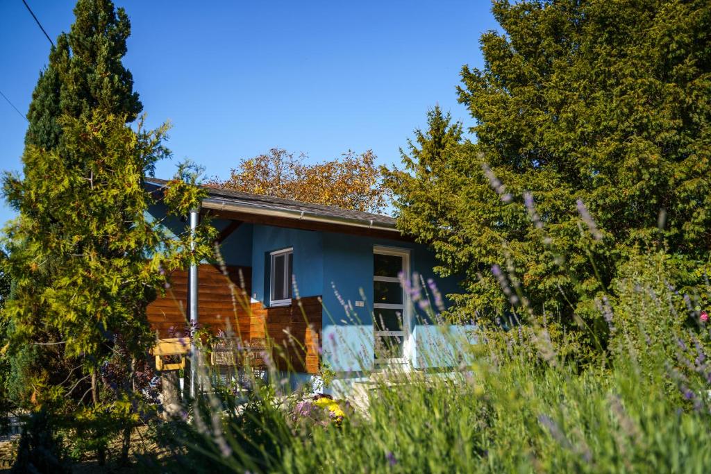 CsókakőTIRAMISU Vendégház的前面有树木的蓝色房子