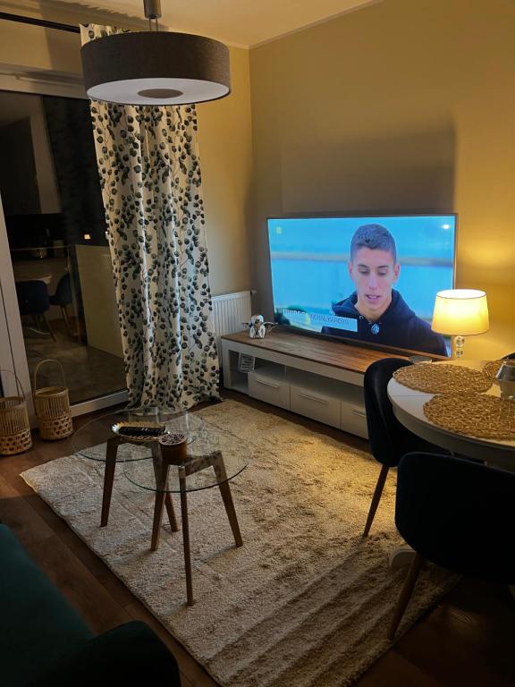 埃尔布隆格Apartament Sadowa 87 Garaż gratis !的一间客厅,客厅里配有一台电视,屏幕上有一个男孩