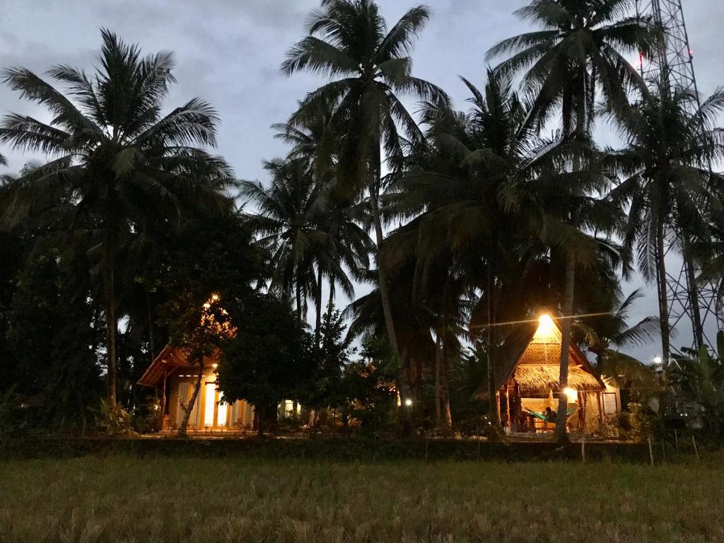 庞岸达兰Saung Rancage Batukaras的棕榈树田间的房子