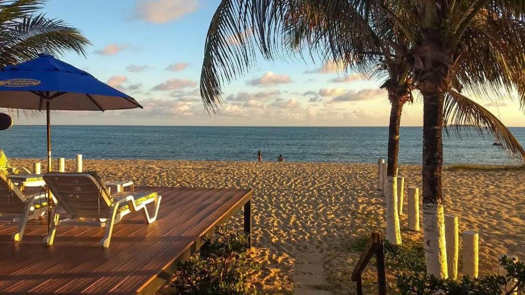 嘎林海斯港Pousada Santo Aleixo的海滩上设有椅子和遮阳伞,棕榈树