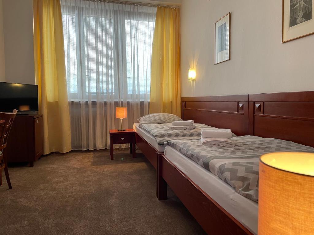 瓦赫河畔比斯特里察博特酒店的酒店客房设有两张床和电视。