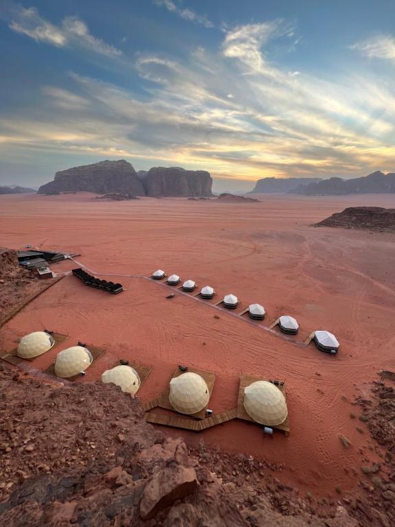 瓦迪拉姆瓦地伦贝多因露营地的一群羊躺在沙漠里