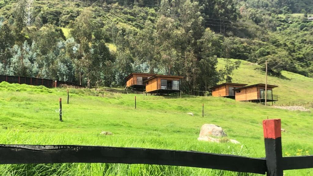 卡希卡GLAMPING LA CUMBRE Nido del Cóndor的山丘上带房屋的绿色田野