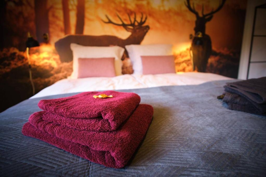 温特贝格Ferienwohnung Eschenberg的床上有粉红色毛巾