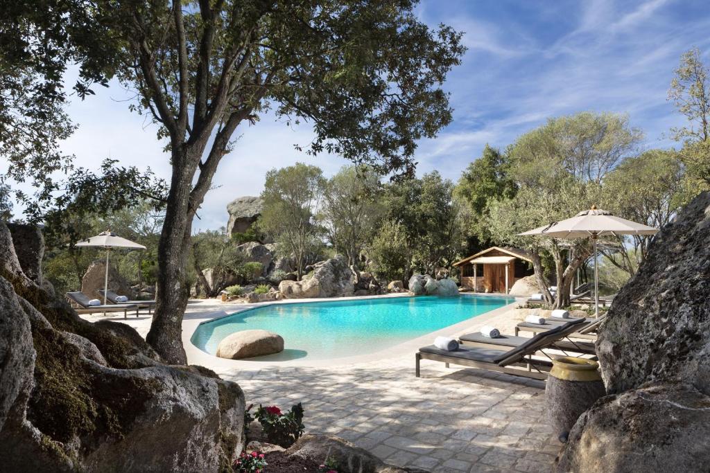 罗格桑托Gallicantu Stazzo Retreat的一个带长凳和树的游泳池