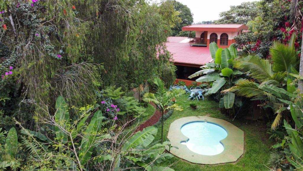 阿拉胡埃拉Villa Pacande Bed and FreeBreakfast的享有花园的顶部景致,设有小型游泳池