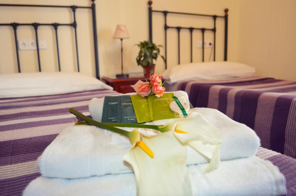 格拉纳达埃尔扎古安酒店的酒店客房,配有两张带毛巾和书籍的床
