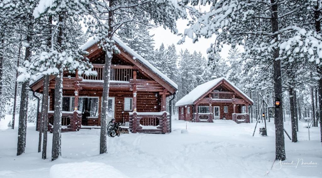 霍萨Lampiranta Log cabin的雪中树下的小木屋