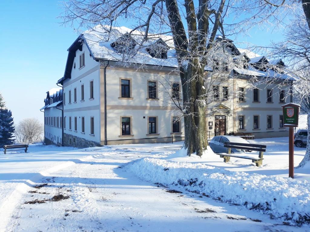 冬天的Hotel Poutní Dům