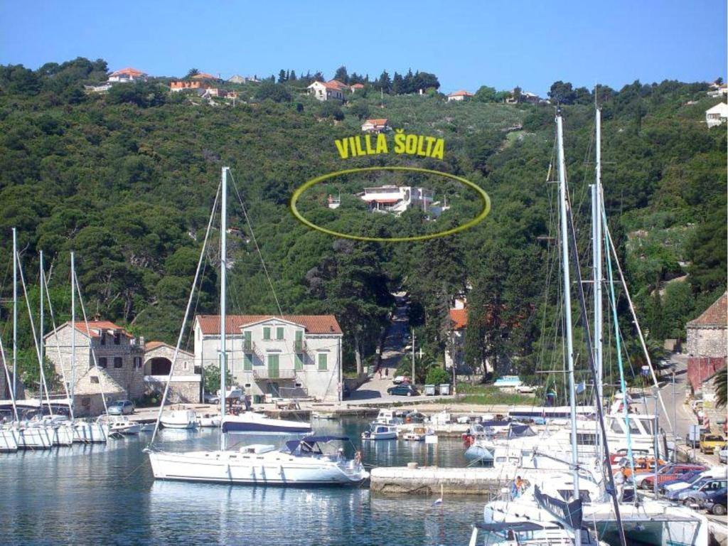 罗加克Villa Šolta的一群船停靠在码头上,有黄色标志