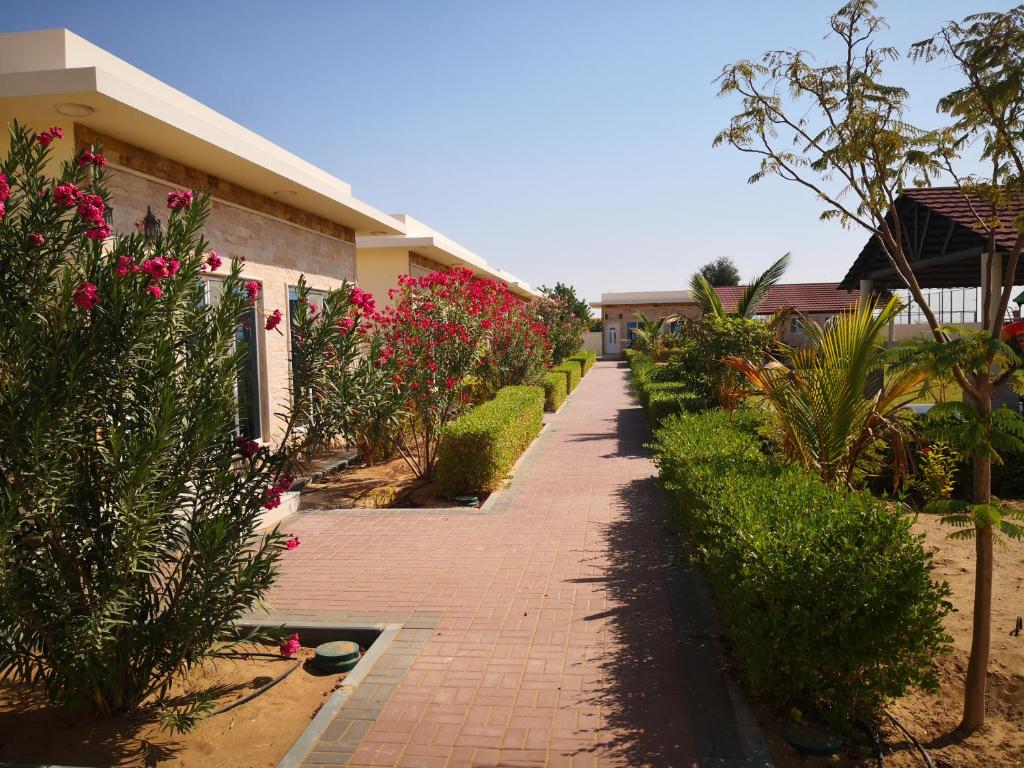 BadīyahAlmorouj Farm inn - Bidiya的砖砌的走道,在一座满是粉红色花朵的房子前