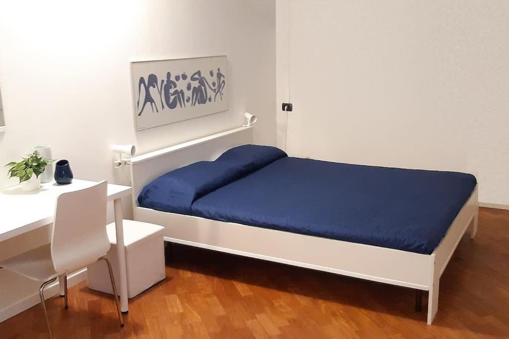 科洛尼奥蒙泽塞B&B accogliente a due passi dal metrò di Milano - Casa Adriana的一间卧室配有一张床、一张桌子和一张书桌