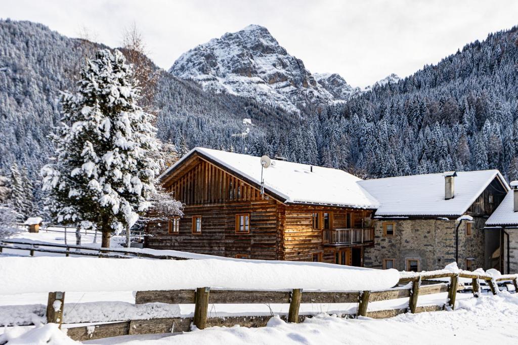 摩德纳迪-坎皮格里奥Nido del Brenta的雪覆盖的山区小木屋